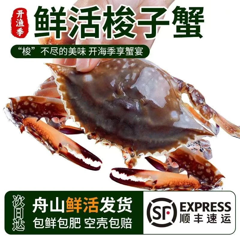 【保鲜不保活】4-6两/只精品蟹-舟山梭子蟹充氧活发3斤装-6-8只/箱