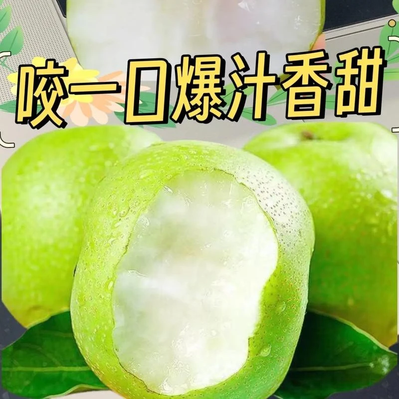 砀山农家自种新鲜现摘翠冠梨一口爆汁甜到心里