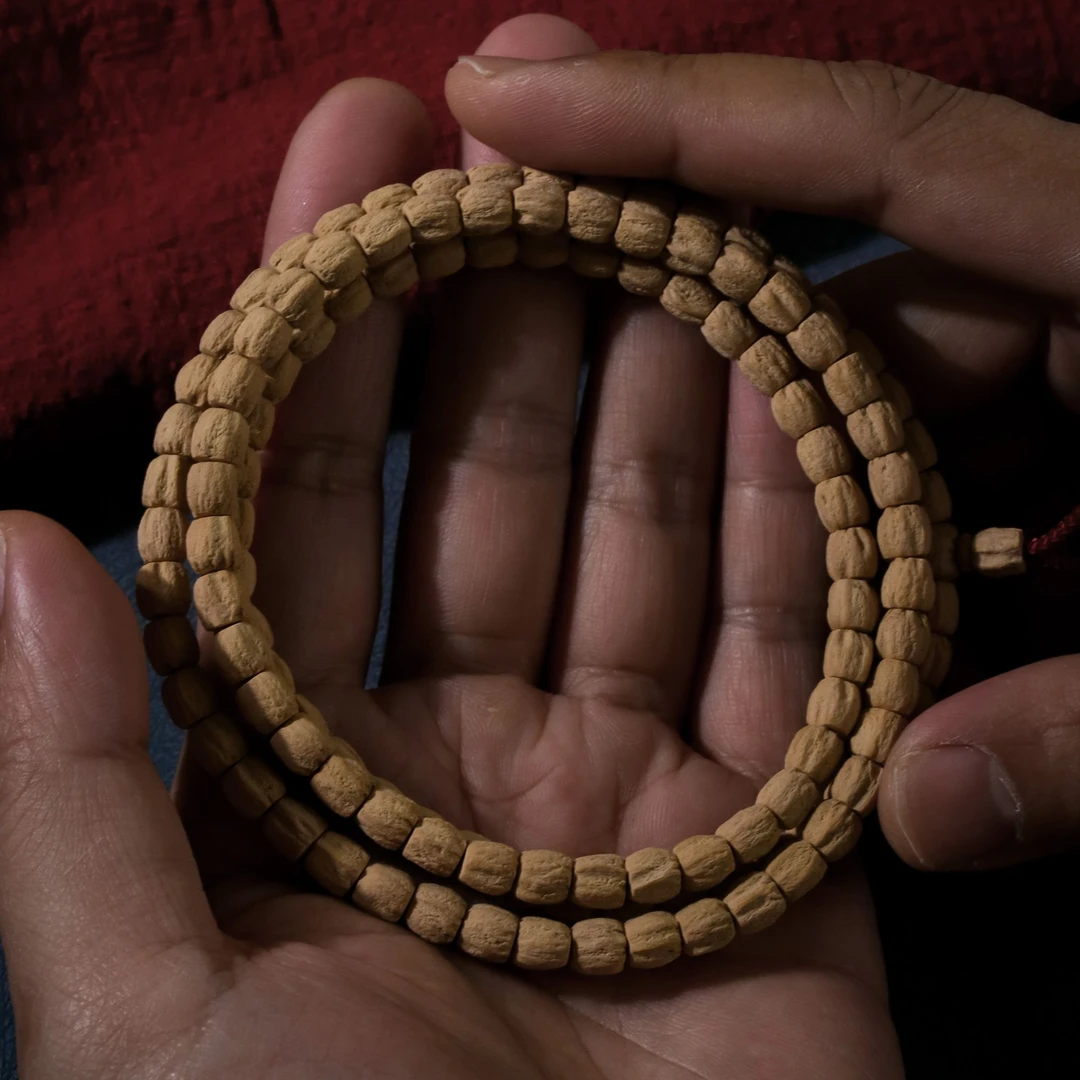 【长腿顺】S金标·直筒干净籽超级顺中长腿高油密热振百香籽长串