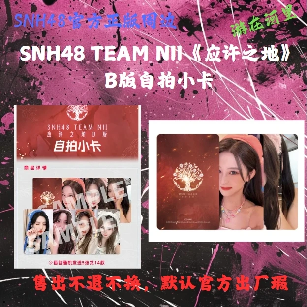 SNH48 TEAM NII《应许之地》B版自拍小卡