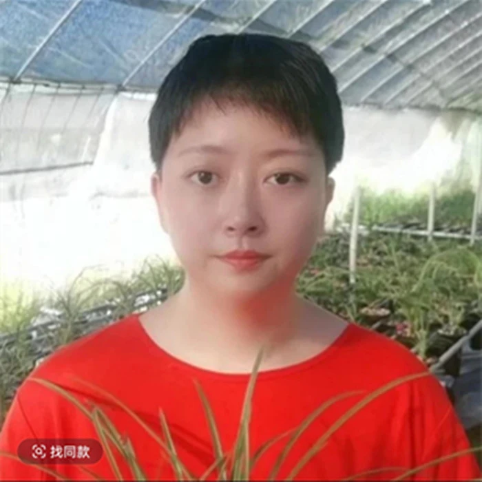 精品兰花 蕙兰 春兰 一物一拍 备注品种