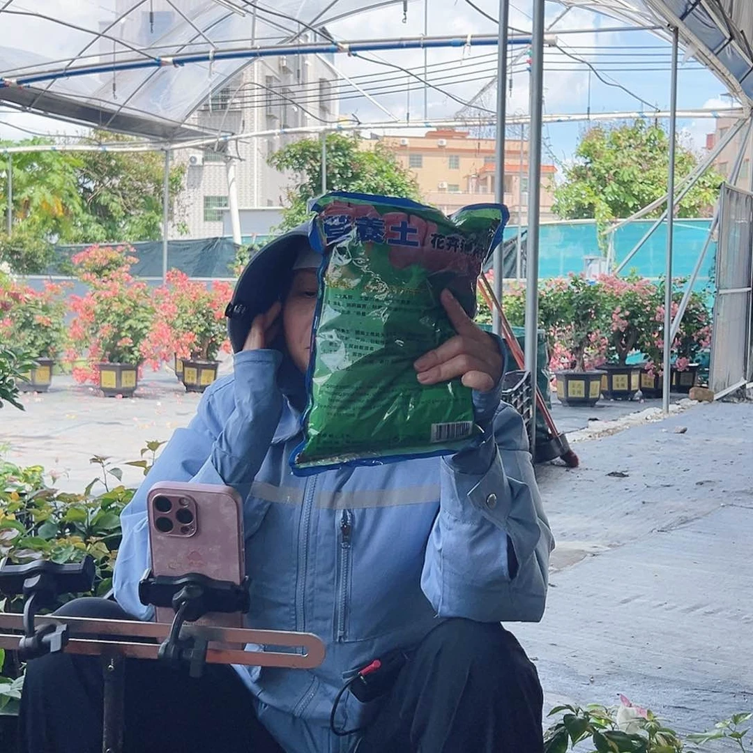 大部分开放少量花苞土一包