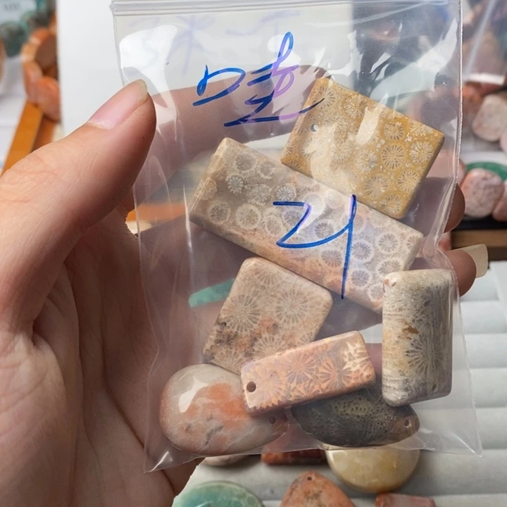 哇***硅化玉未镶嵌珊瑚玉
