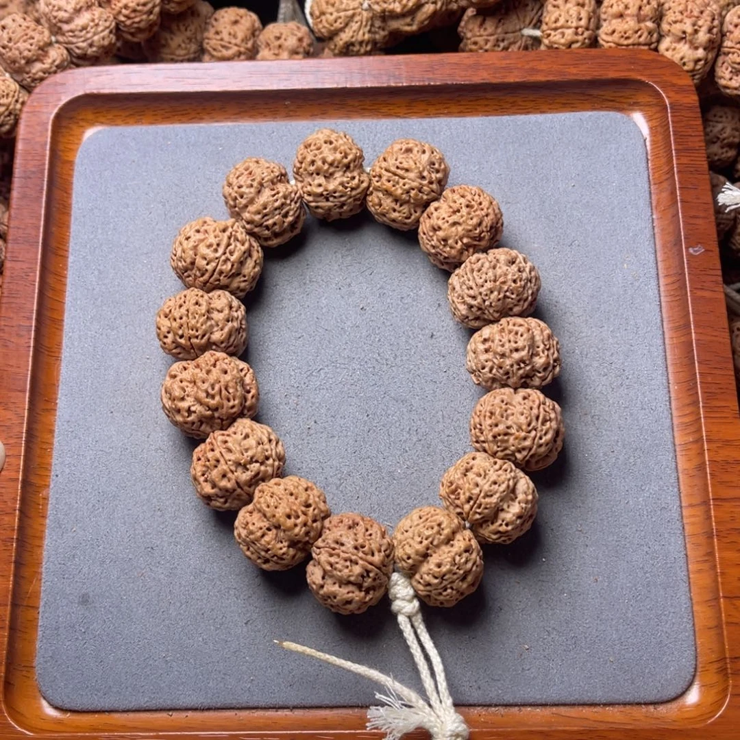 菩提籽类16号金刚菩提梁梅花双龙23