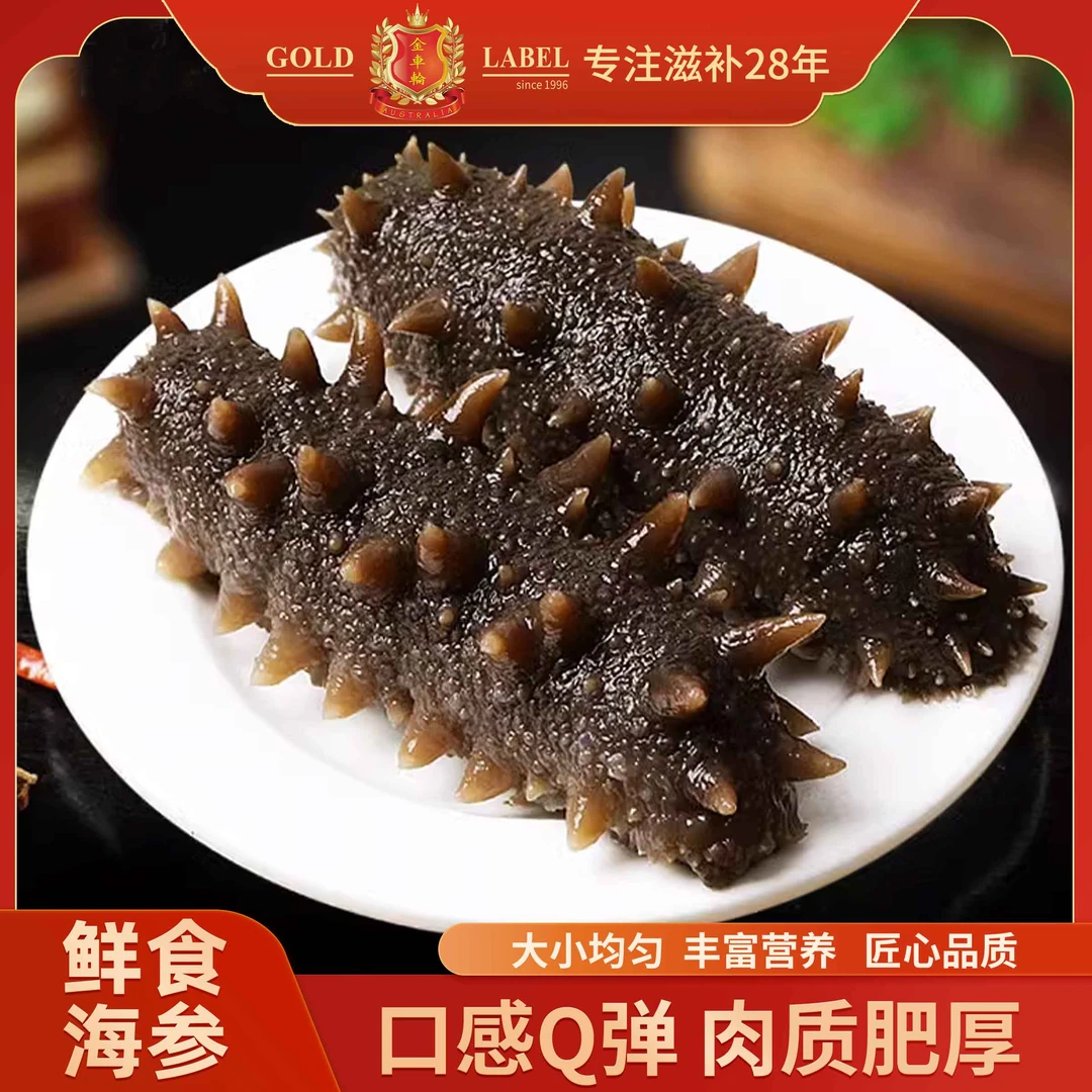 金车轮 即食鲜辽参皇 海参