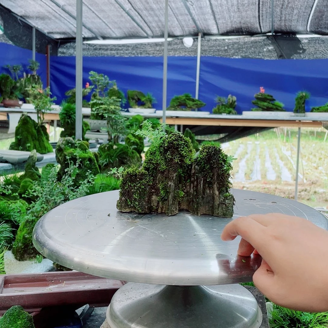 完全开放新品反反复复的道德规范