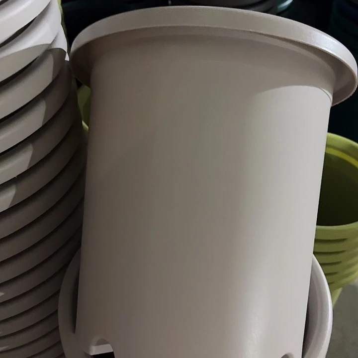 四季7号灰白无托6个特价微瑕