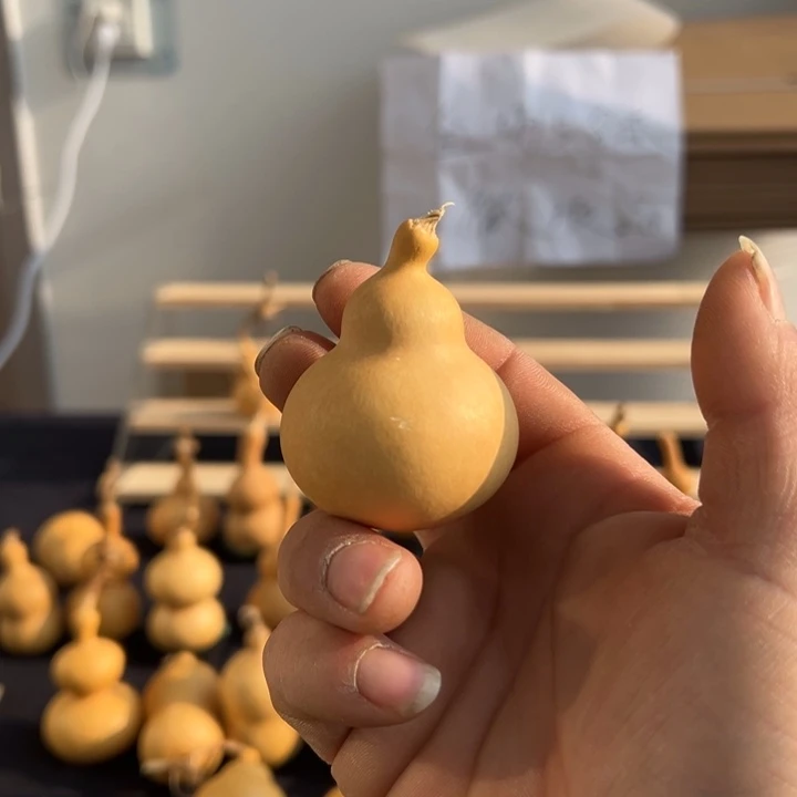 葫芦手把不退不换