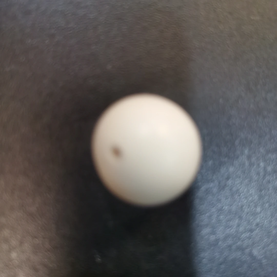 猛犸猛犸单珠链接DH88888