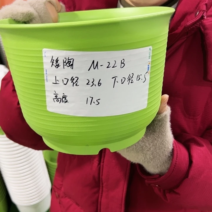 正品矮陶口24高17白色无托6只