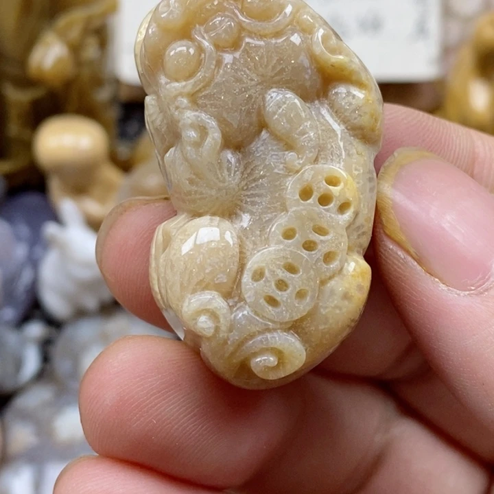 颈饰未镶嵌硅化珊瑚（珊瑚玉）A****y