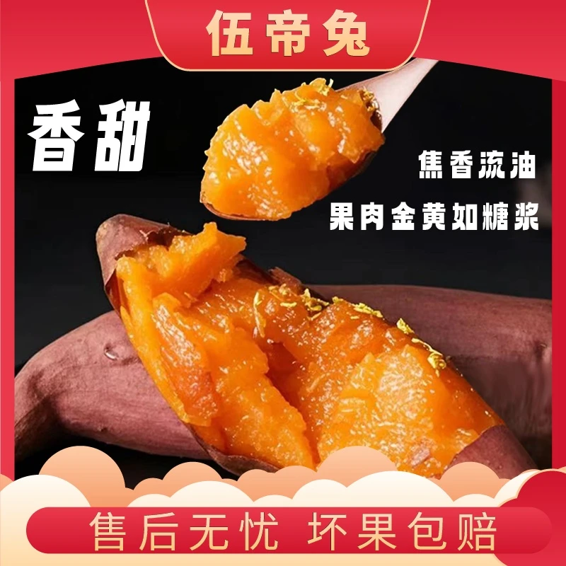 【伍帝兔】山东烟薯25号净重4.5斤软糯香甜蜜薯地瓜红薯