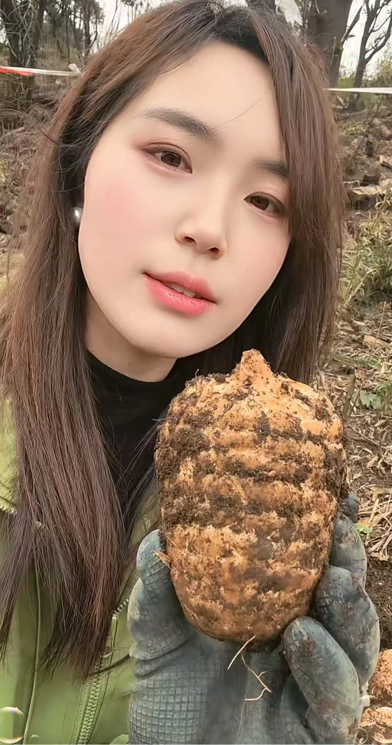 正宗小草坝高山新鲜乌天麻