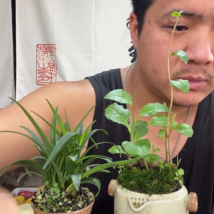 ?一物一拍所见即所得205