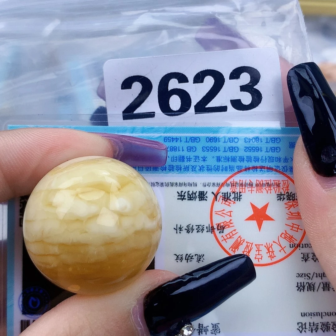 琥珀未镶嵌珠宝奇石27.6植物，冰片