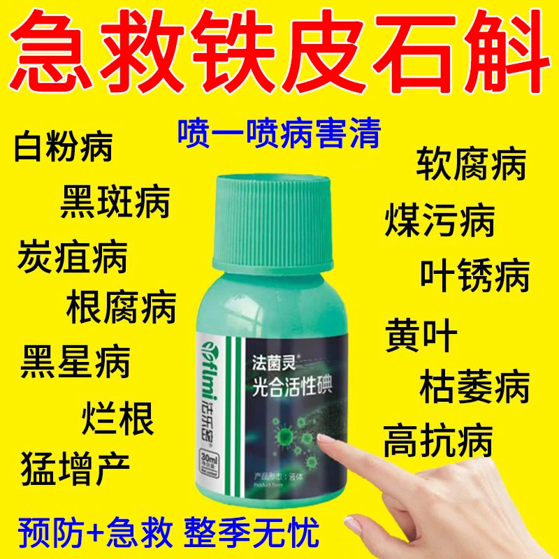 石斛锈病专用叶面肥料铁皮石斛黄叶烂根白粉黑斑炭疽软腐疫病毒病