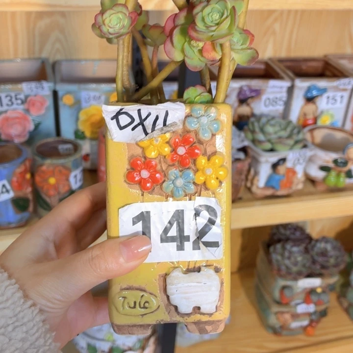 多肉花盆满15包邮