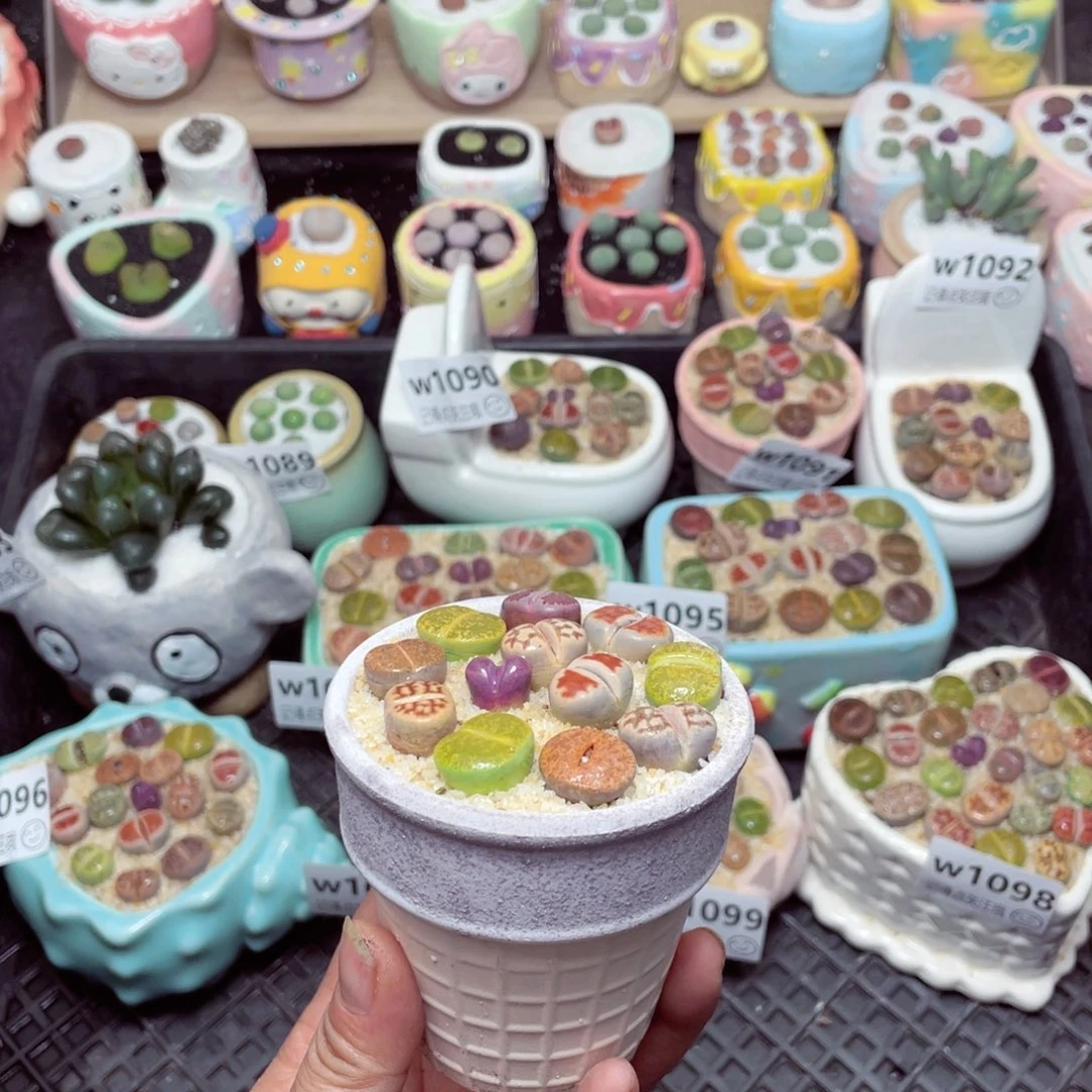 w1100 -零下地区拍保温箱-15支持寄养