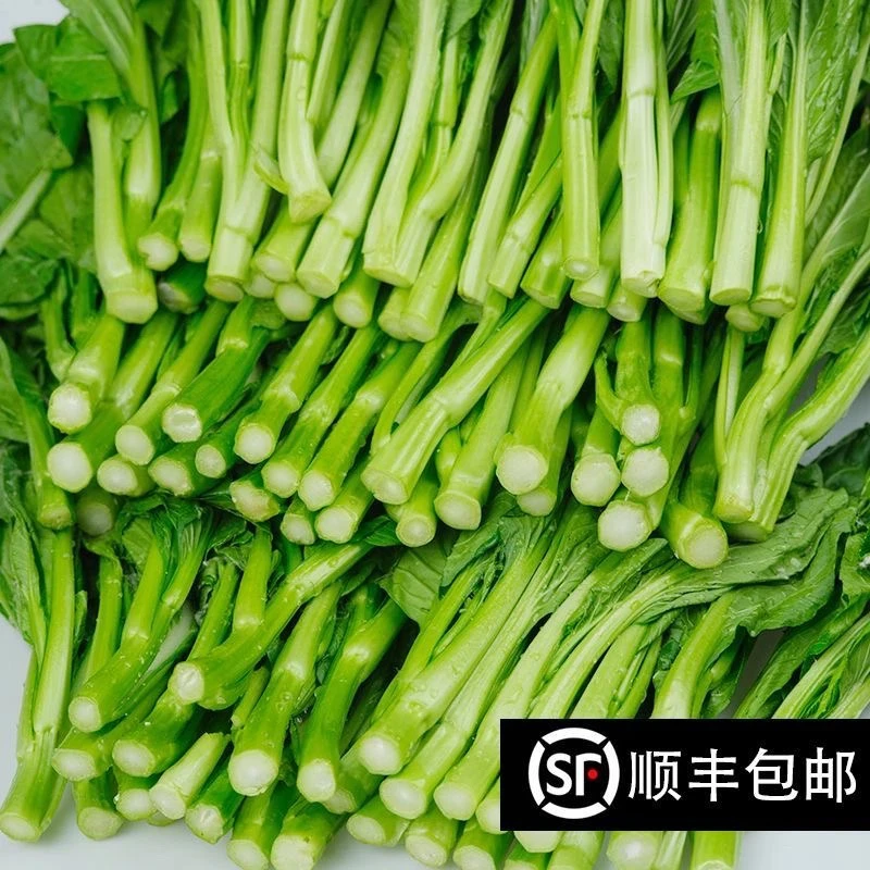 【顺丰包邮】新鲜广东菜心菜花当季油菜心鲜嫩清甜菜苔农家小青菜