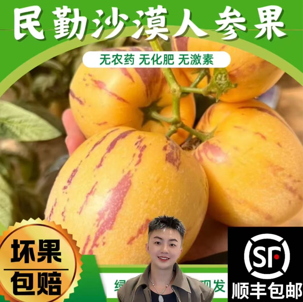 ［头茬新果］净重八斤顺丰彩箱包邮甘肃民勤人参果现摘低糖清甜多汁