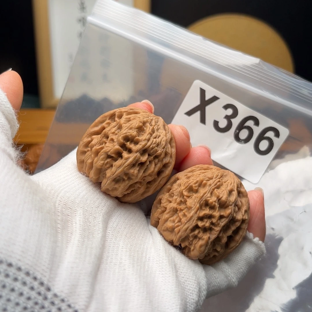 文玩核桃把件37野牛x 366