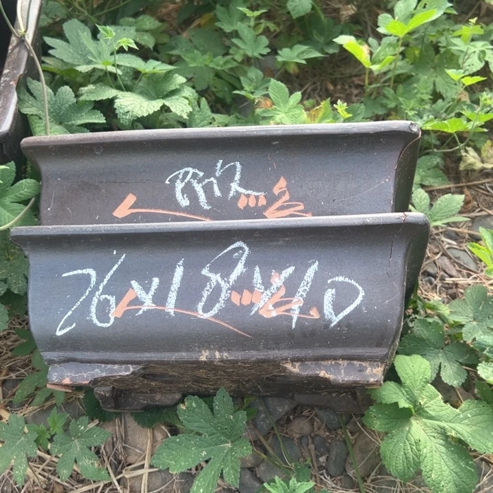 紫砂马槽马槽马槽马槽马槽