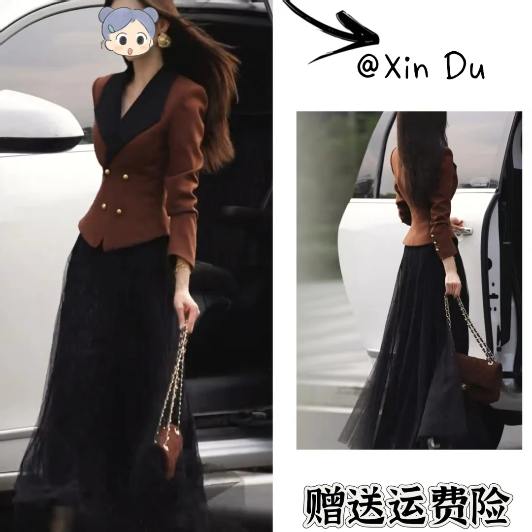 2025秋冬季新款时尚显瘦气质女士网红洋气两件套百搭款D24026