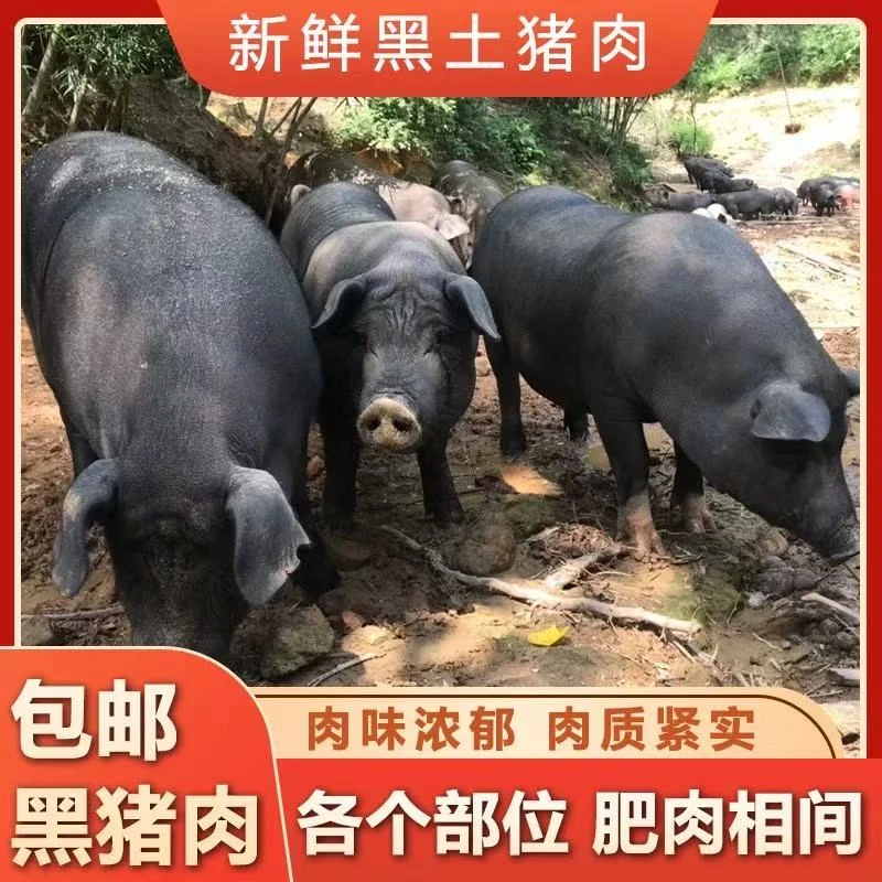 (现场称重)农家土黑猪小杨妹粮食黑猪肉顺丰快递次日达现场称重500g