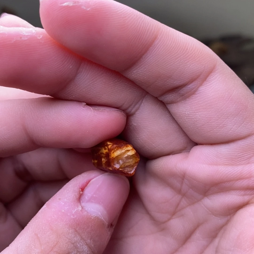 【闪购商品】定制琥珀执*天然蜜蜡