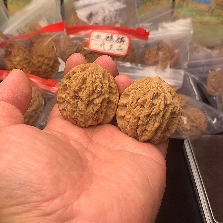 核桃麦穗虎头40+尺