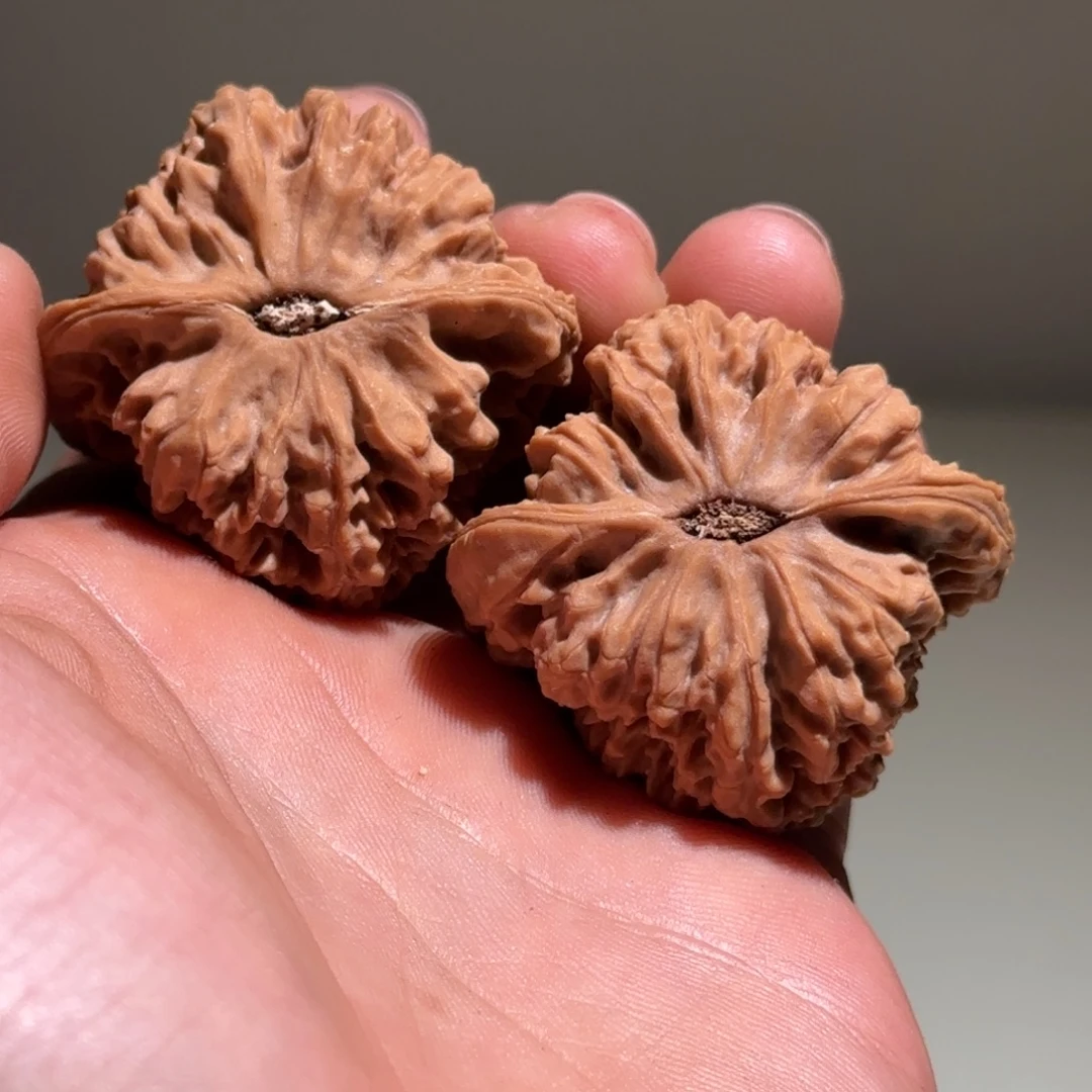 敖***何核桃43南疆石有磨损黄