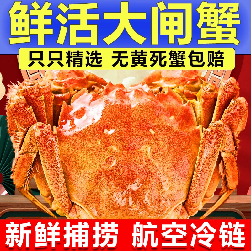 【活蟹】江苏大闸蟹 公蟹5.8-5.5两母蟹4.8-4.5两6只加2只共8只
