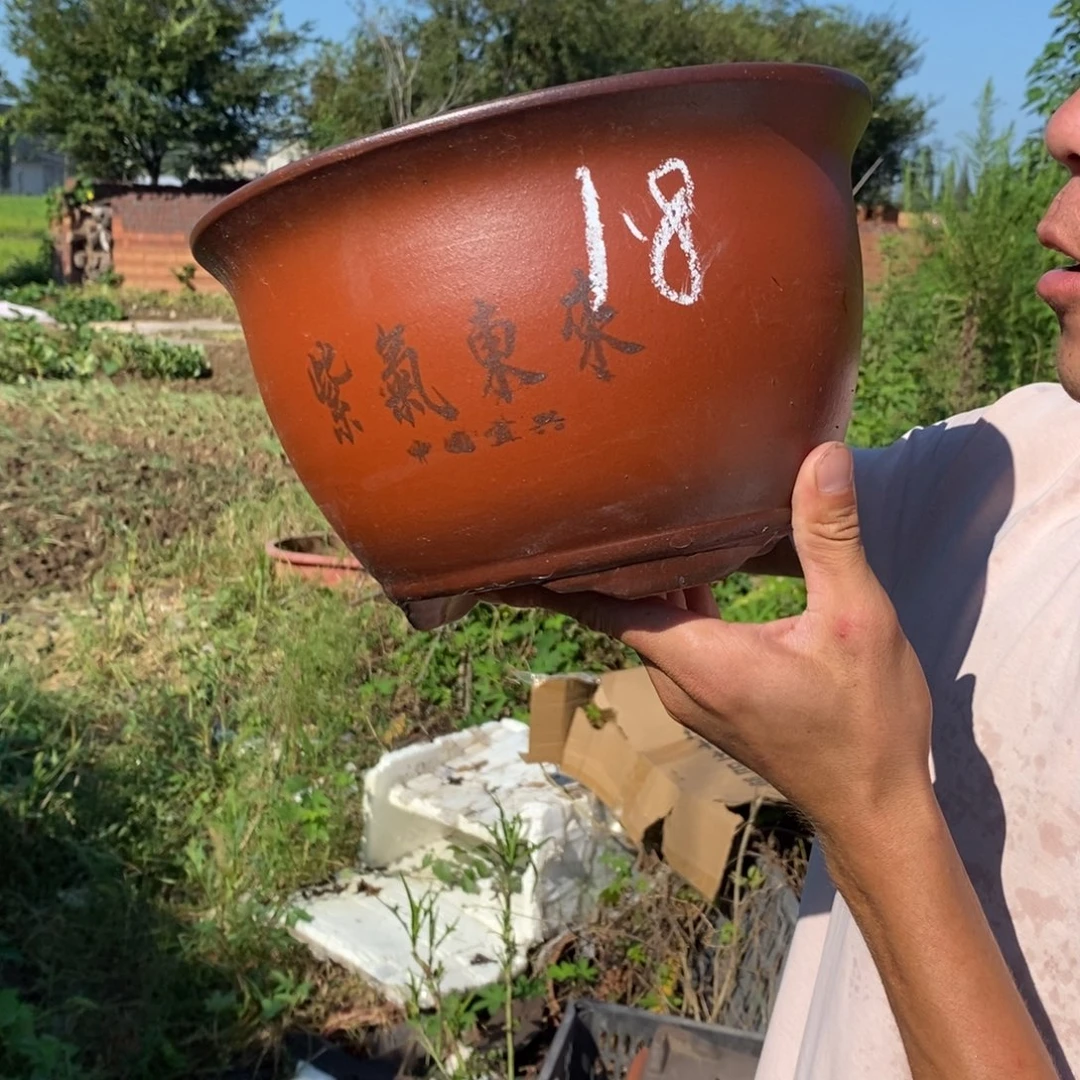 紫砂器。我是姜占勇了一天