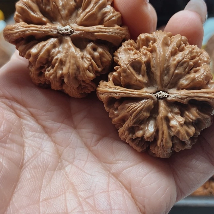 文玩核桃吊坠粗筋