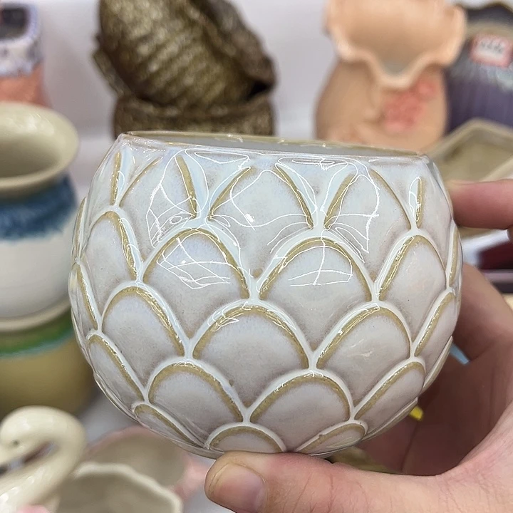 多肉植物陶瓷花盆