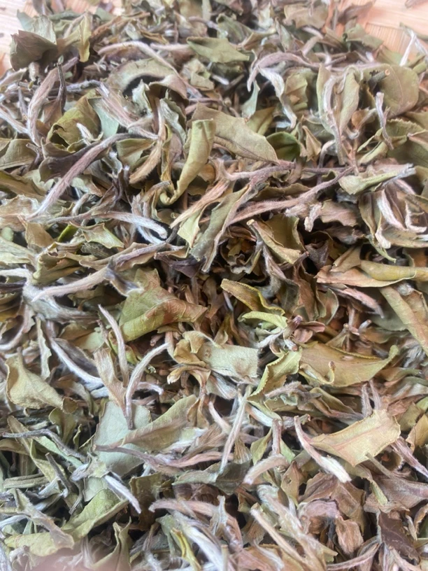 2021年冬茶白牡丹稻谷香白牡丹散茶稻谷花香小甜水正宗福鼎老白茶