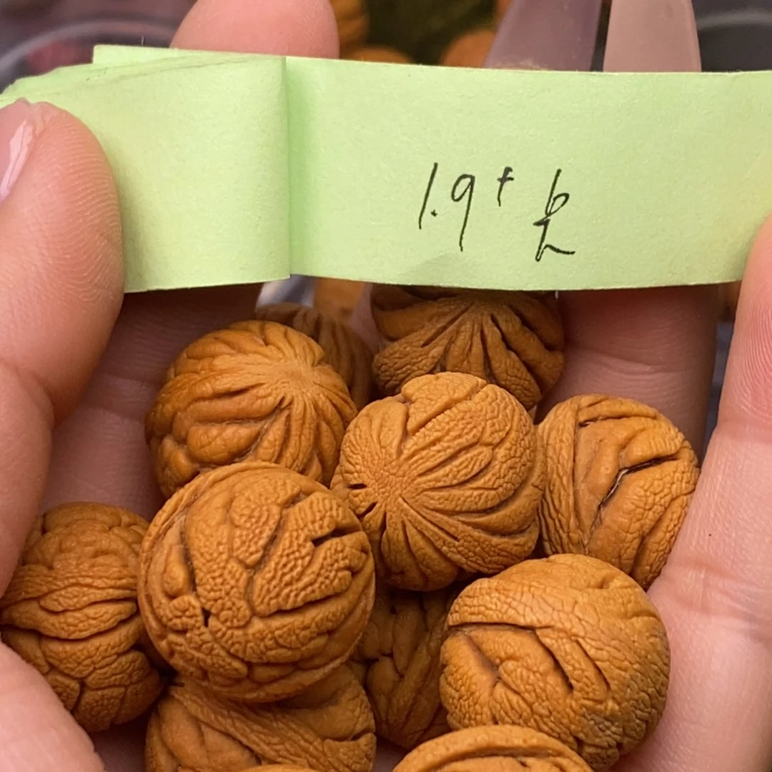 秦岭山脉龙纹桃核14