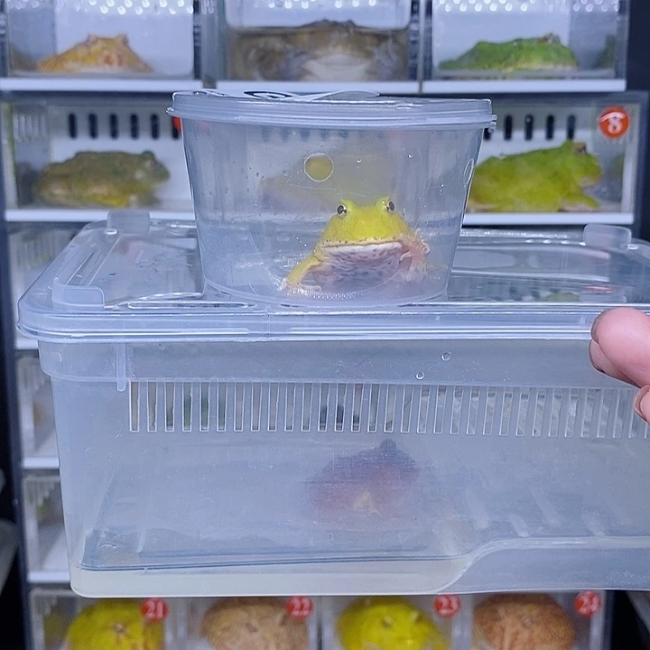 特价秒杀现货特价