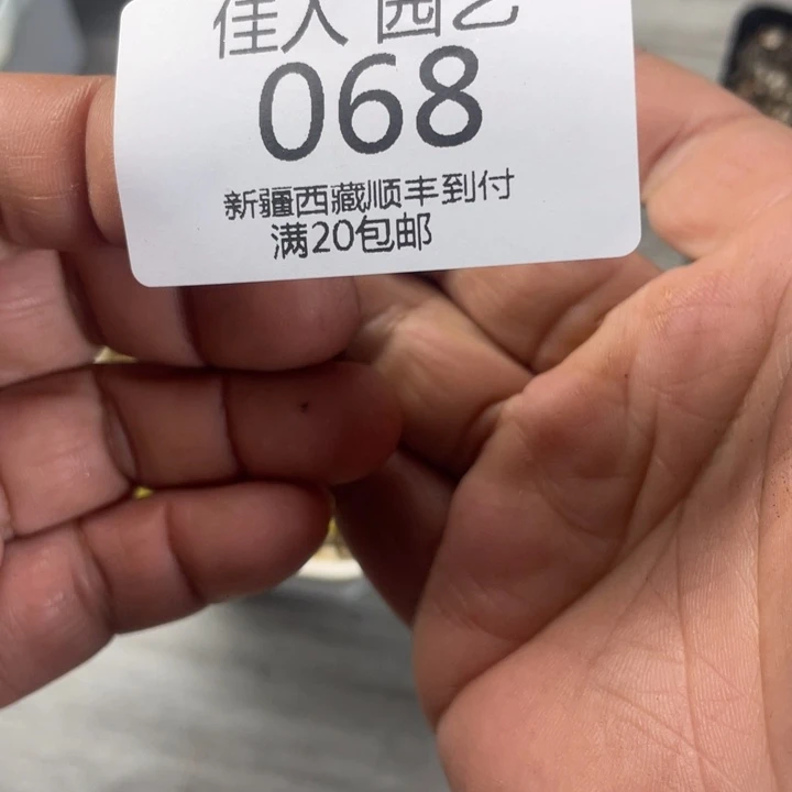 1**4一司就司绿色蓝色绿色绿068