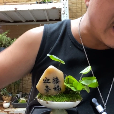 红陶一物一拍所见即所得216