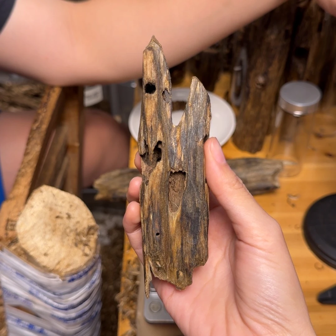 沉香碎屑沉香紫棋块料22克