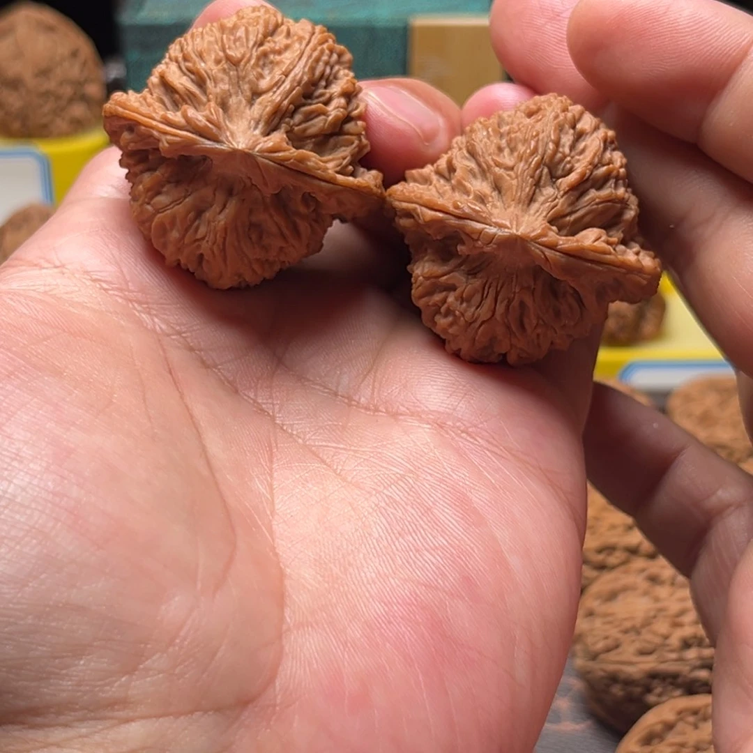 把件文玩核桃为**侯三角疆