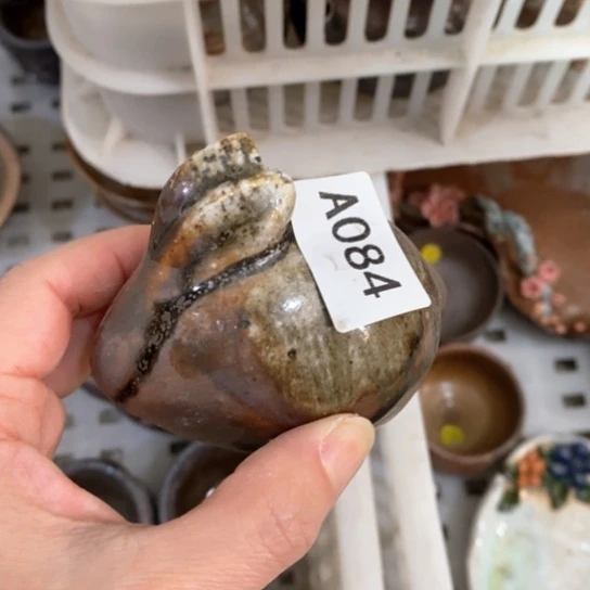 福利福利活动来了打