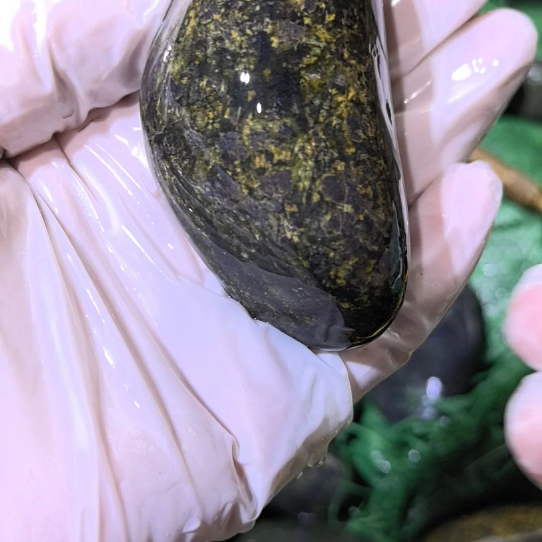 玄***真有机玻璃藏玉药王石原石手把件