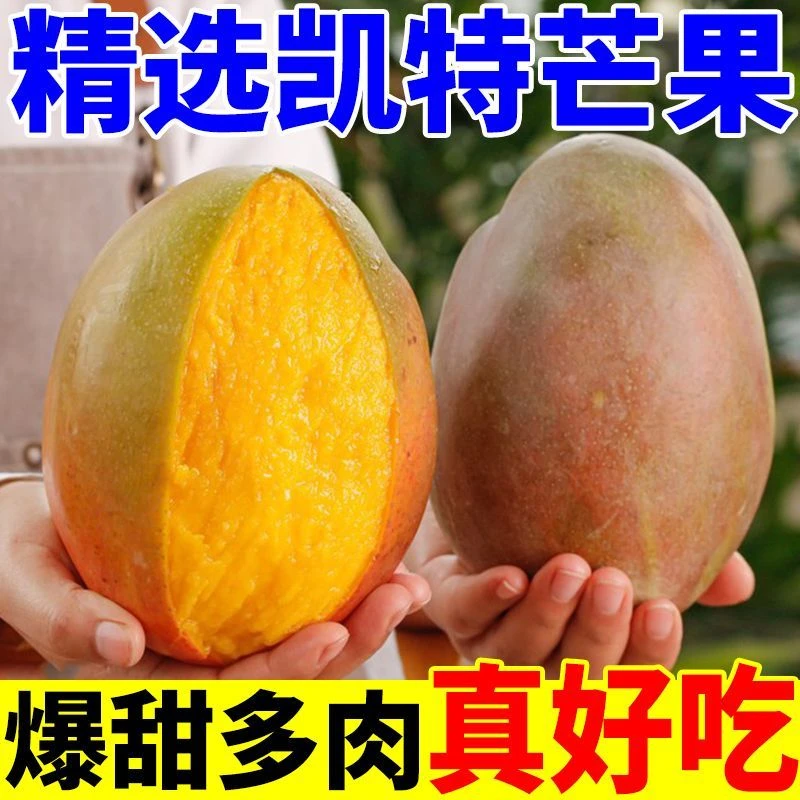 童敏专属【带箱5斤】凯特芒爆甜多汁果香浓郁新鲜采摘