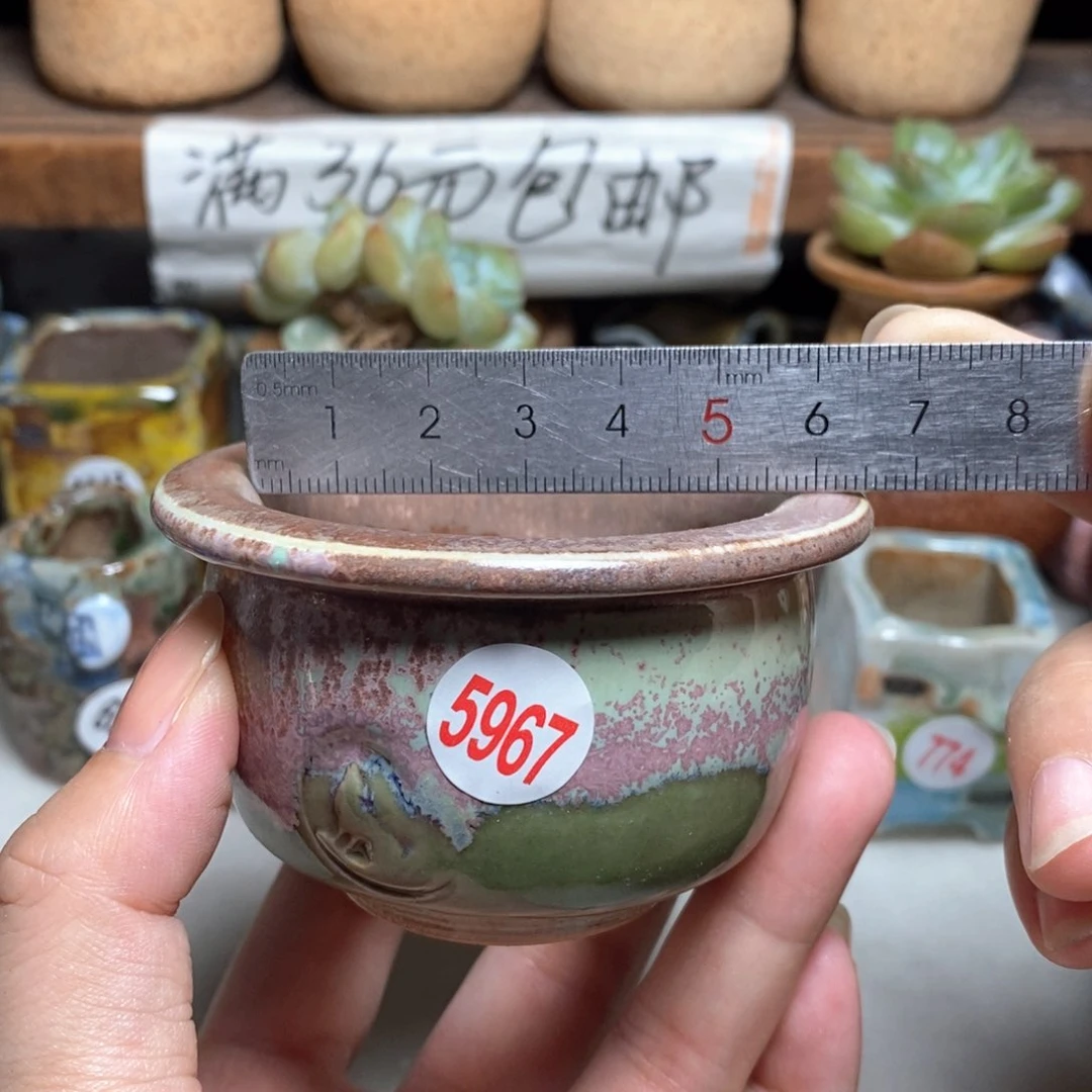 拍5送一个同款的，