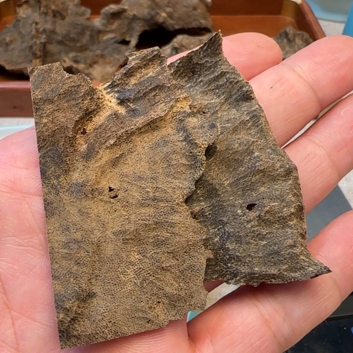 沉香摆件深圳沉香4.2克