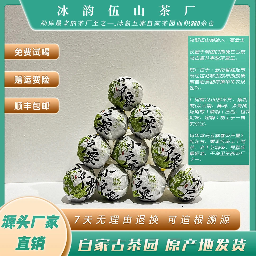 冰韵伍山 2023年春 小户赛 古树龙珠 普洱生茶