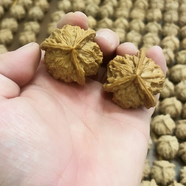 文玩核桃把件文玩核桃一物一图