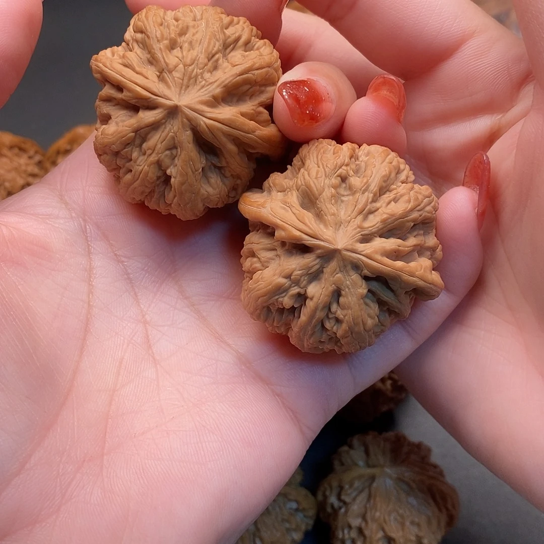 鸢***阙桃核把件毕业对大粗筋